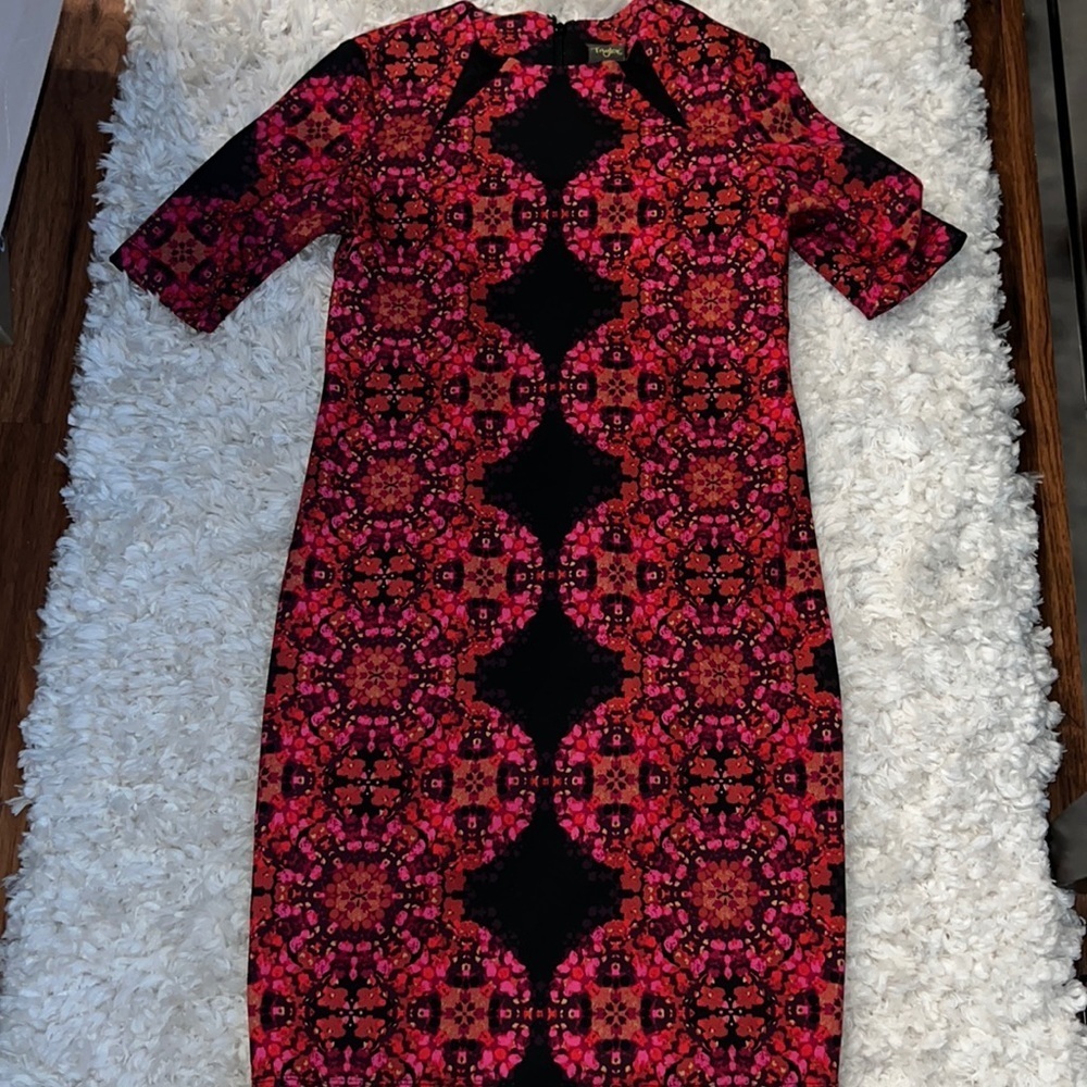 NWOT Taylor dress